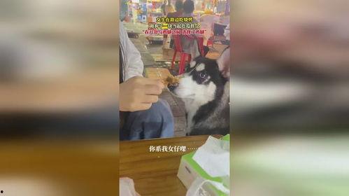 吃瓜群众吃鸡腿视频在线观看,吃瓜群众直播吃鸡腿，视频观看热潮席卷全网