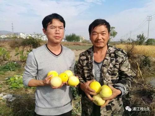 吃瓜群众六安,吃瓜群众眼中的民生百态