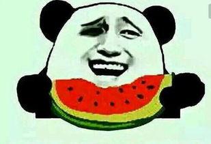 七夕节吃瓜群众图片卡通,吃瓜群众欢乐多