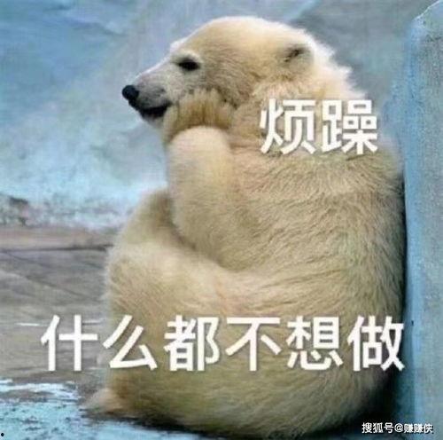 清醒的吃瓜群众图片高清,清醒吃瓜群众众生相