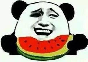 狗哥吃瓜群众是真的吗还是假的,真相揭秘，是真实存在还是网络虚构？