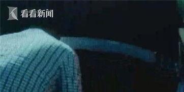 吃瓜群众在线切瓜视频,吃瓜群众在线切瓜，趣味横生短视频引热议