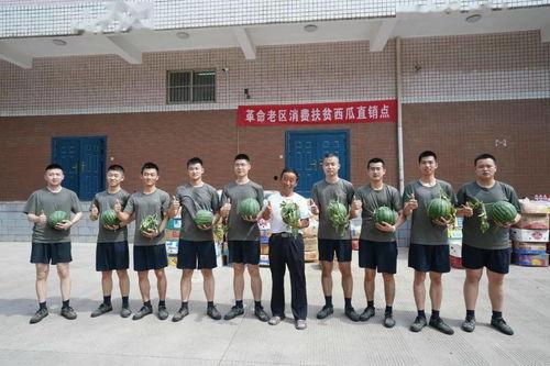 吃瓜群众217哈工大,吃瓜群众217的校园生活剪影