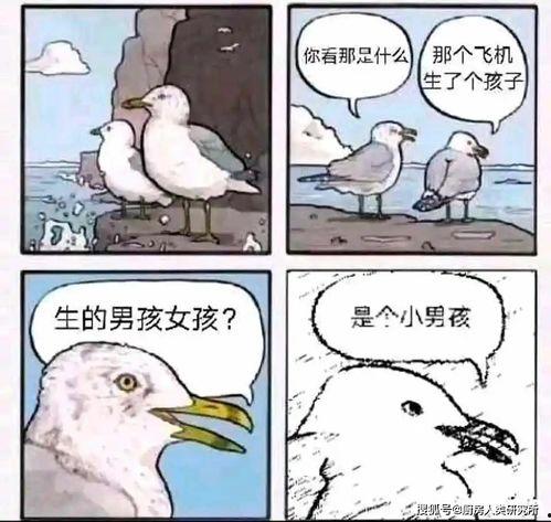 智勇双全的吃瓜群众是谁