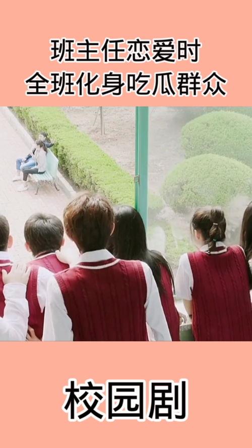 吃瓜群众必追电视剧,盘点年度热门电视剧