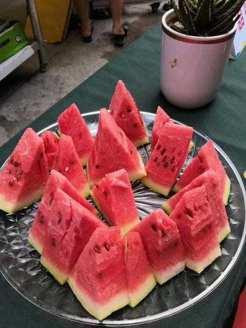 吃瓜群众泡菜视频播放在线观看,吃瓜群众在线观看独家解析