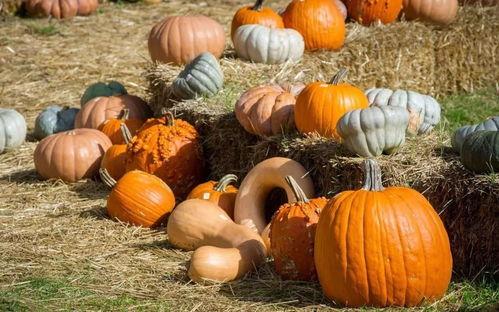 峡谷吃瓜群众值钱吗视频,揭秘网络直播中的价值与争议