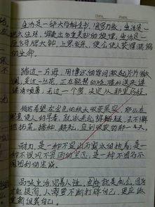 吃瓜群众摘抄好词好句,吃瓜群众摘抄的精彩语录汇编