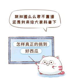 抵制 吃瓜群众 的行为,共建和谐网络环境