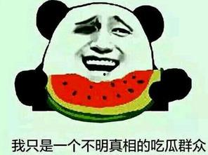 为什么我叫吃瓜群众,揭秘“吃瓜群众”背后的网络文化现象