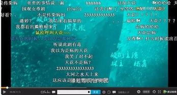 吃瓜群众弹幕在哪里开,吃瓜群众弹幕生成背后的秘密