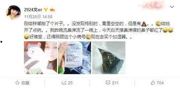 吃瓜群众老粉丝是谁,揭秘网络红人的背后故事