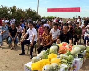 农村吃瓜群众的视频,揭秘田间地头生活百态