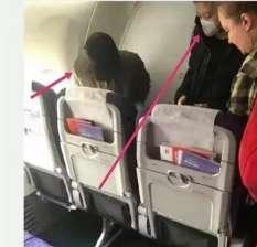 回家过年吃瓜群众,吃瓜群众的欢乐盛宴