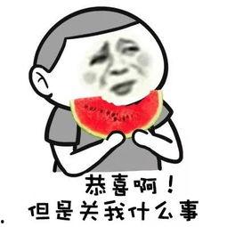 微博四处赶场的吃瓜群众是啥,四处赶场的“吃瓜群众”现象解析