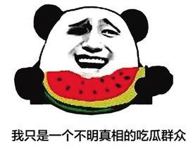 网名叫吃瓜群众叫什么,网络时代的旁观者与评论家