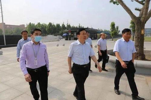 司法大战吃瓜群众视频,吃瓜群众视角下的精彩瞬间