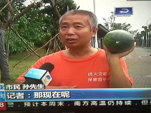 七个吃瓜群众事件视频