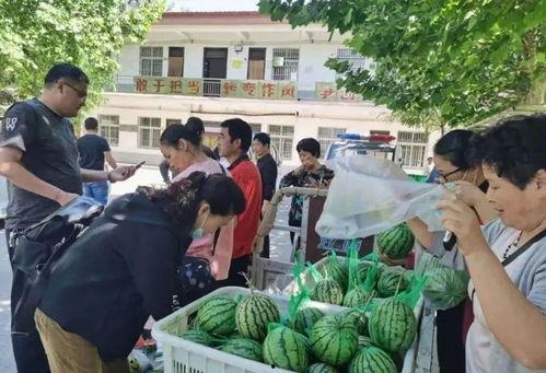 以爱为营现场吃瓜群众,现场吃瓜群众揭秘甜蜜瞬间