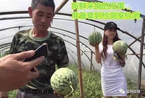 吃瓜群众免费吃瓜直播在线观看