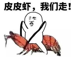 吃瓜群众套路方案,揭秘网络热议背后的真相与技巧