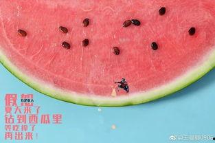 吃瓜群众最高境界,揭秘最高境界揭秘