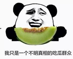 当不了领导吃瓜群众,就做快乐的吃瓜群众