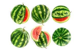 吃瓜群众吃玉米,品味田园生活新风尚