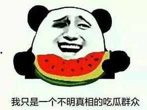 如何看待吃瓜群众的看法,揭秘网络舆论场的众生相