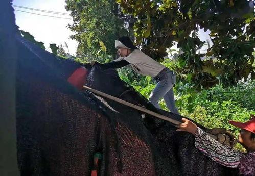 吃瓜群众009大结局视频