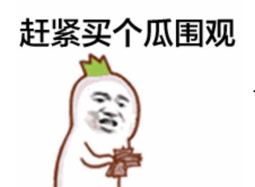 吃瓜群众一看就懂